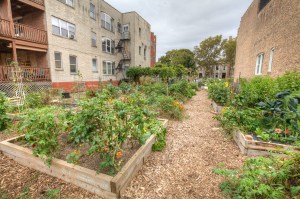 Brickyard Woodlawn Community Garden (Thomas Oord)